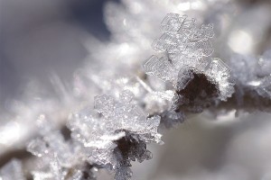 sneeuwkristallen_4322  