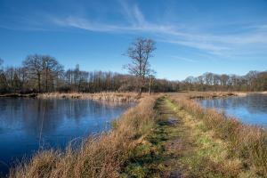 Korenburgerveen-7167-web