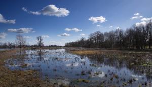 Korenburgerveen-7246-web