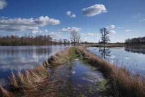 Korenburgerveen-7255-web